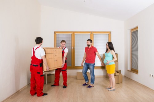 Eco-friendly moving solutions by house removalists