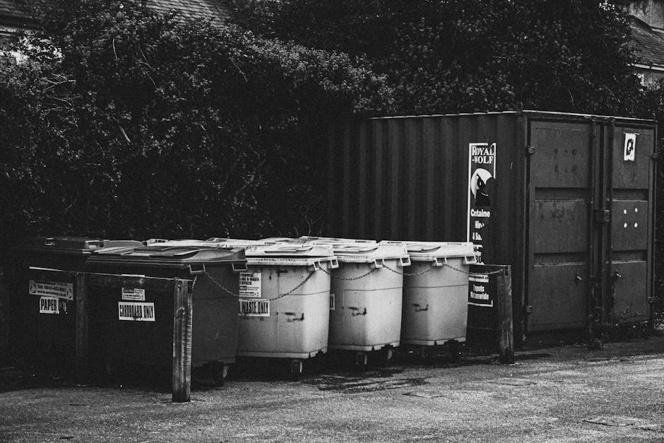 A row of four large white plastic wheelie bins with closed lids, positioned on a paved area next to a wooden post, in front of a large dark shipping container with a Royal Molf logo and a partly visib